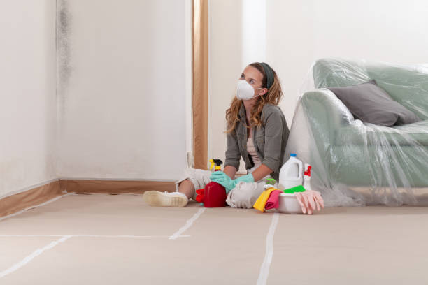 Reliable Basement Mold Removal contractor in Flagtown, NJ by WQB Mold Removal